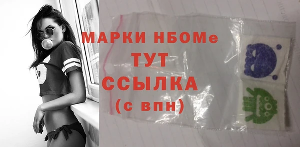 индика Верхний Тагил